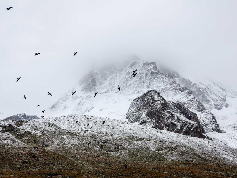 sudoku difficulty levels screenshot 5